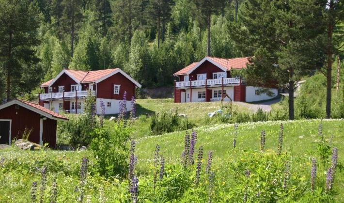 un groupe de maisons sur une colline avec un champ dans l'établissement Bjursås Berg & Sjö, à Bjursås