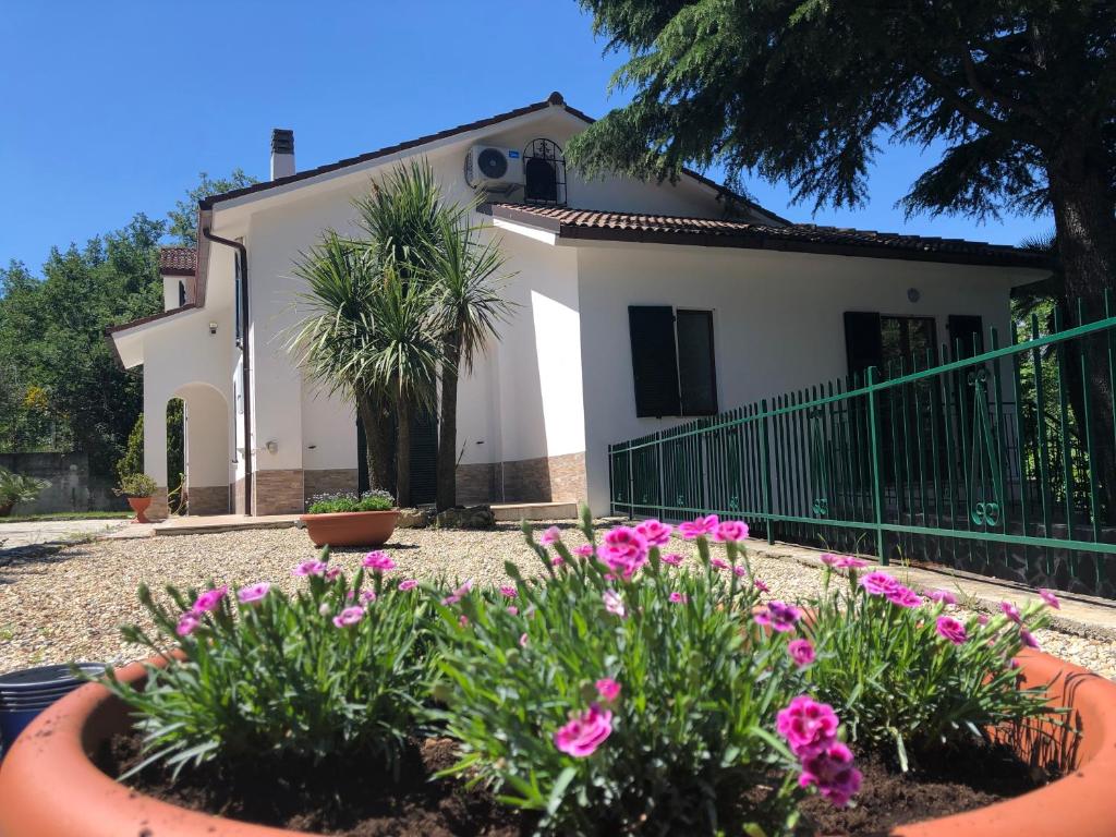 une maison avec des fleurs roses dans une cour dans l'établissement B&B Zac House, à Toirano