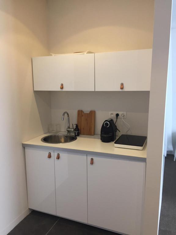 Kuchyň nebo kuchyňský kout v ubytování Suite 336