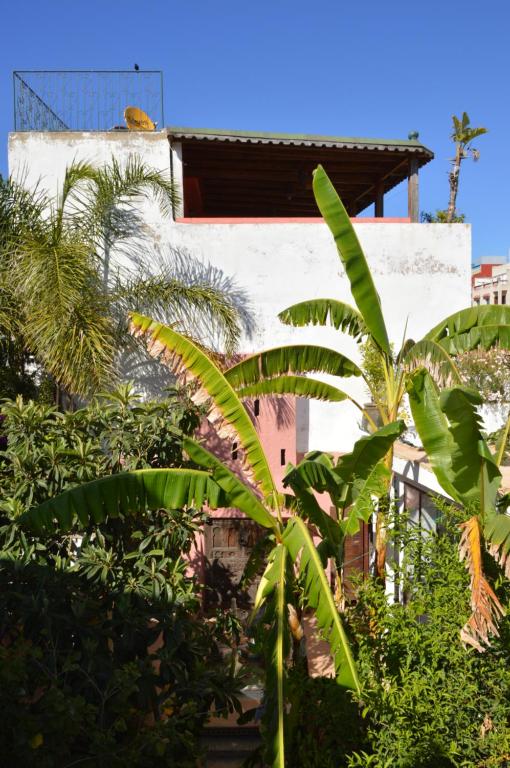 a building with palm trees in front of it at RIAD OASIS D'ASILAH in Asilah