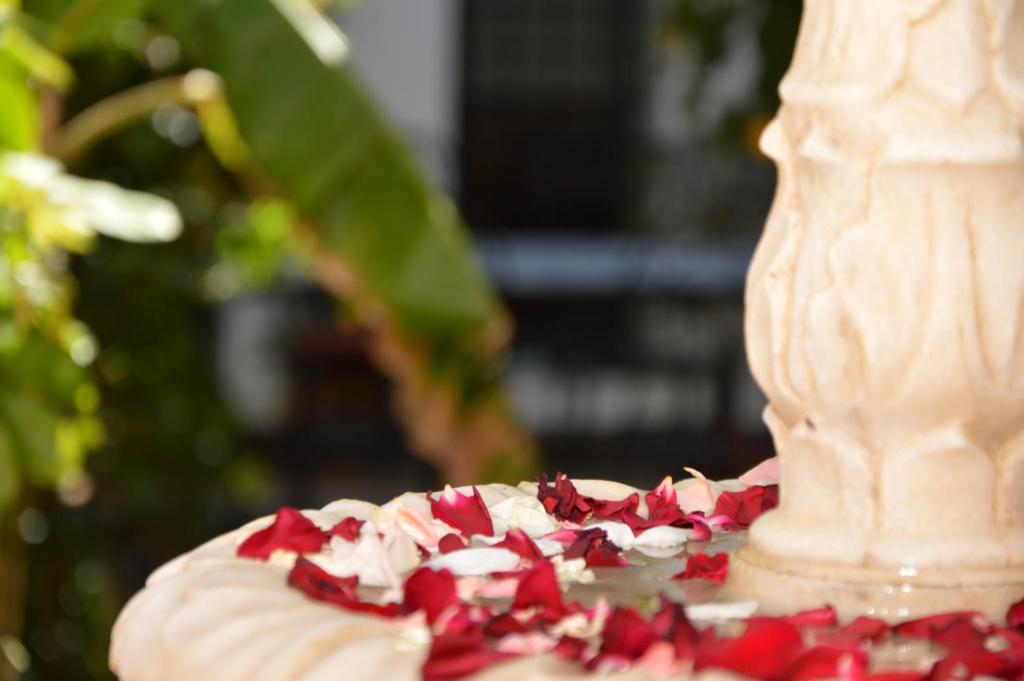 a white cake with red sprinkles on top of it at RIAD OASIS D'ASILAH in Asilah