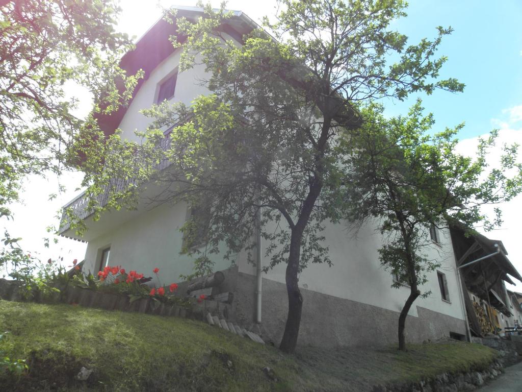 ein weißes Haus auf einem Hügel mit Bäumen und Blumen in der Unterkunft Pr' Hribar in Zgornje Gorje