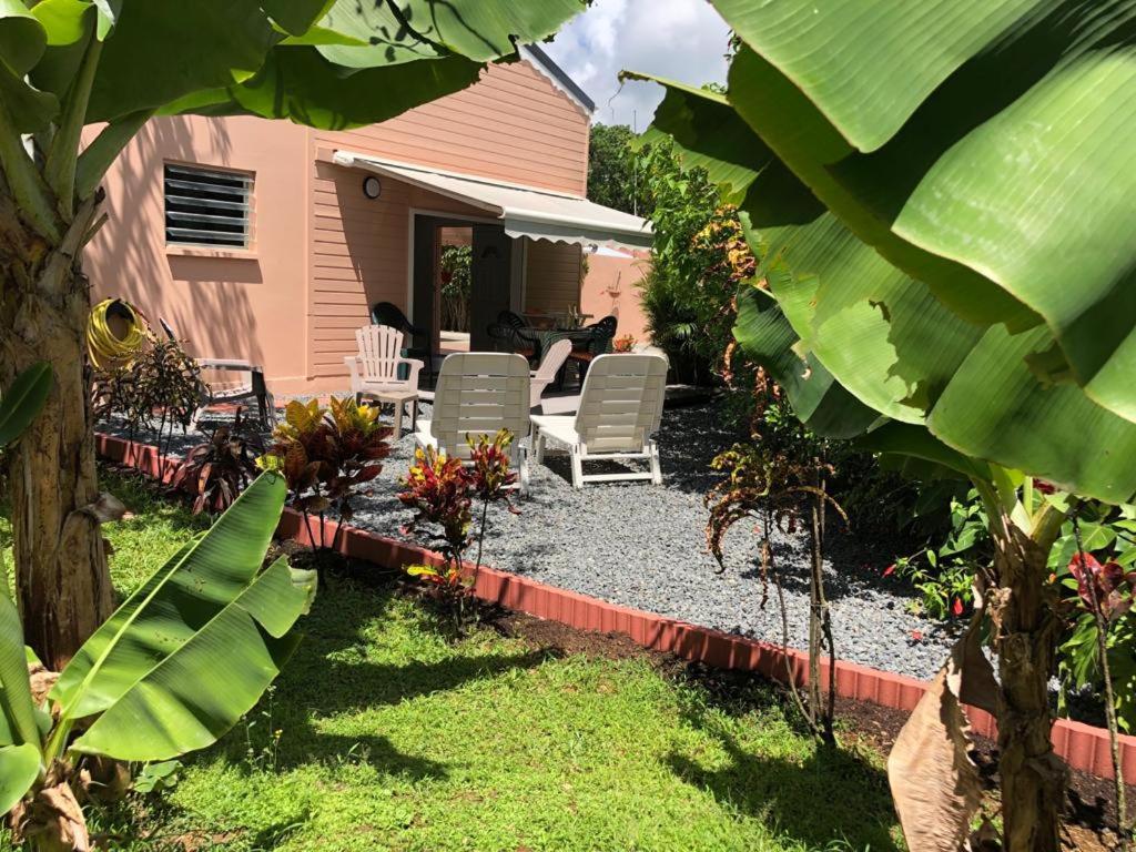 einen Hinterhof mit einer Terrasse mit Stühlen und Pflanzen in der Unterkunft Cap Colibri in Petit-Bourg