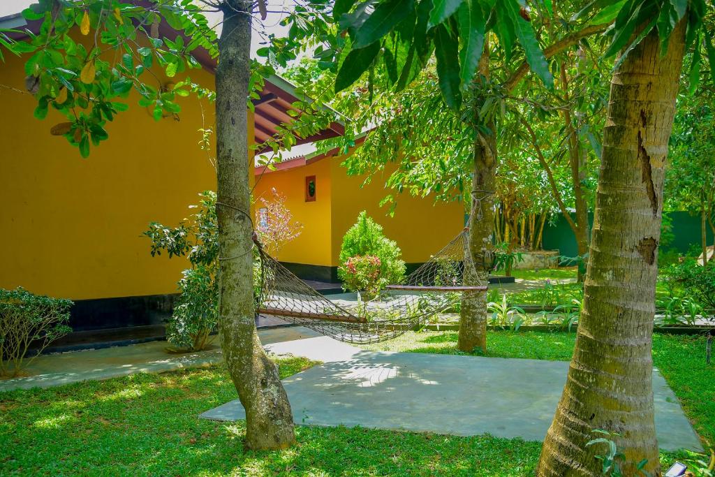 Richards Cabanas - 11