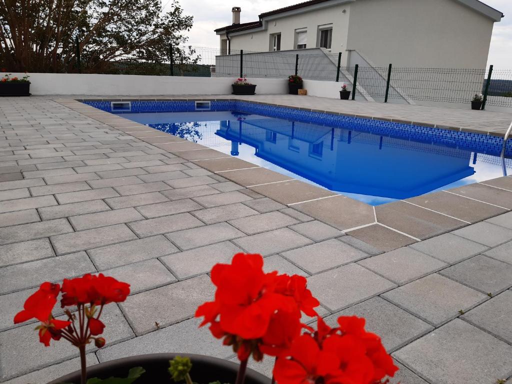 a swimming pool with red flowers in a vase at Apartman Nina in Kruševo