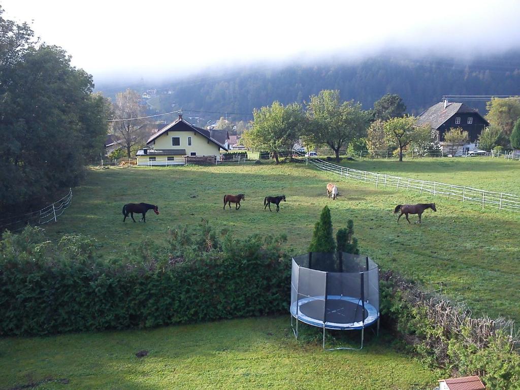 Příroda nedaleko bed and breakfast