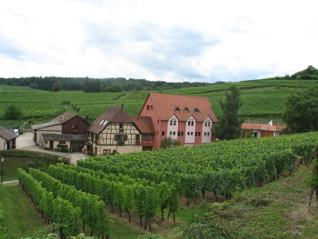 Studio chez le vigneron – photo 4