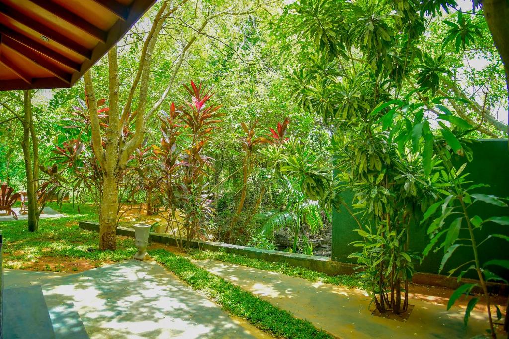 Richards Cabanas - 8