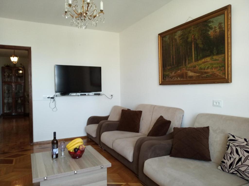 a living room with two couches and a tv at On Khimshiashvili Apartment in Batumi
