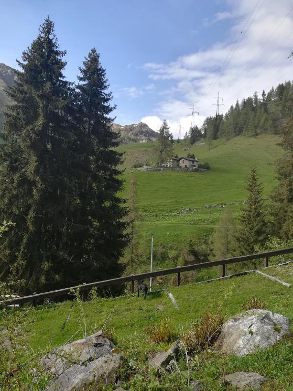 Příroda nedaleko hotelu