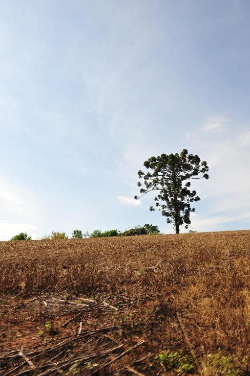  Fazenda Coronel Jacinto
