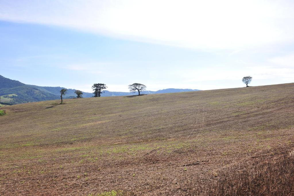  Fazenda Coronel Jacinto