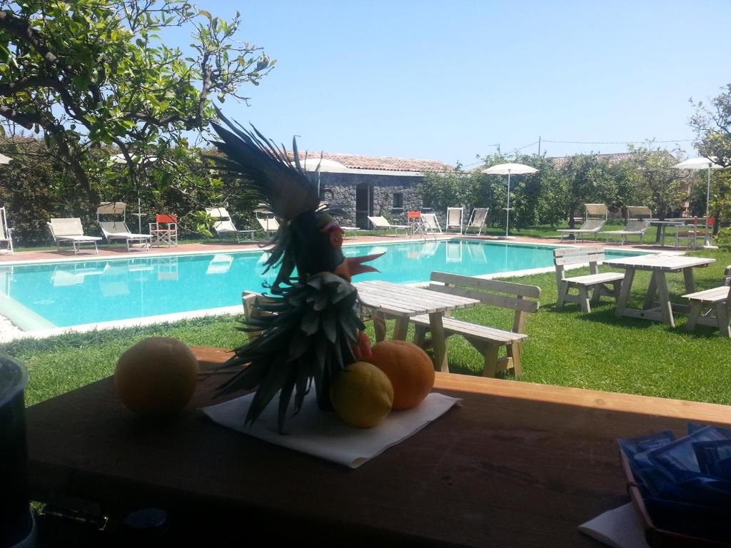 Bazén v ubytování Agriturismo Galea nebo v jeho okolí
