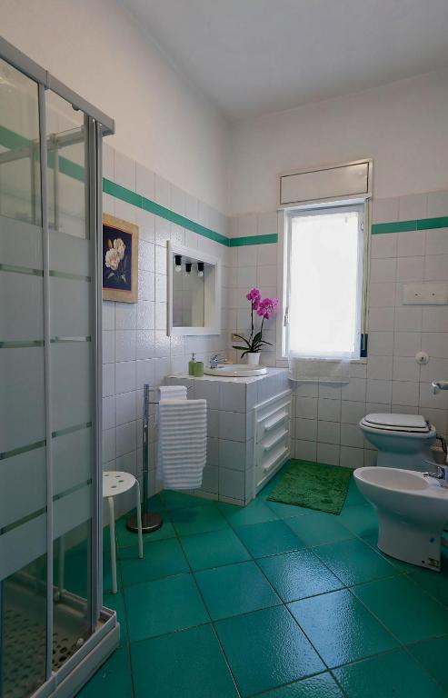 Kúpeľňa v ubytovaní Villa Araucaria