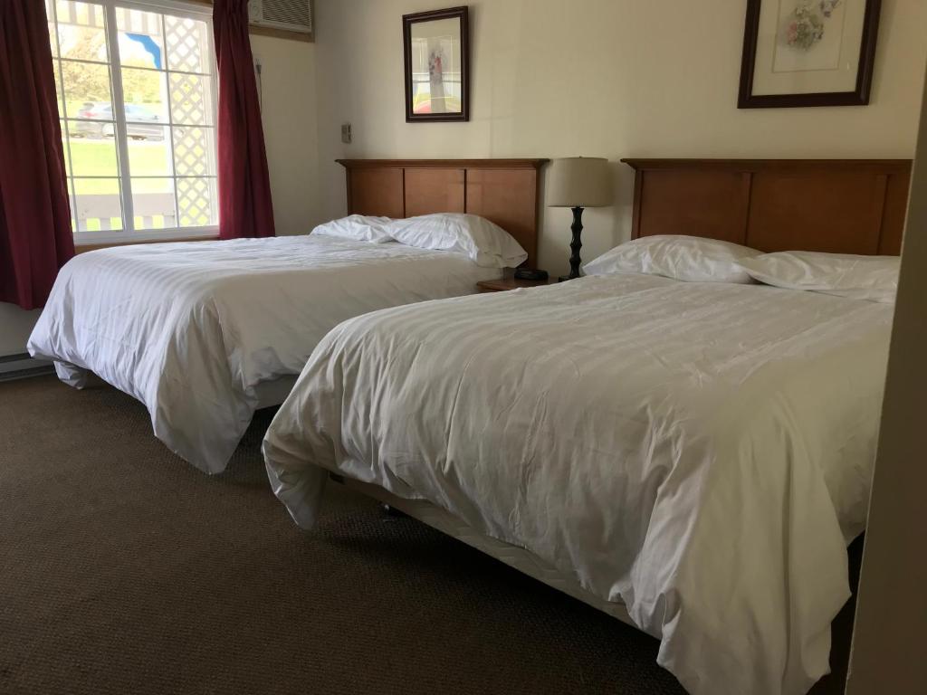 two beds in a hotel room with white sheets at Hopewell Rocks Motel & Country Inn in Hopewell Cape