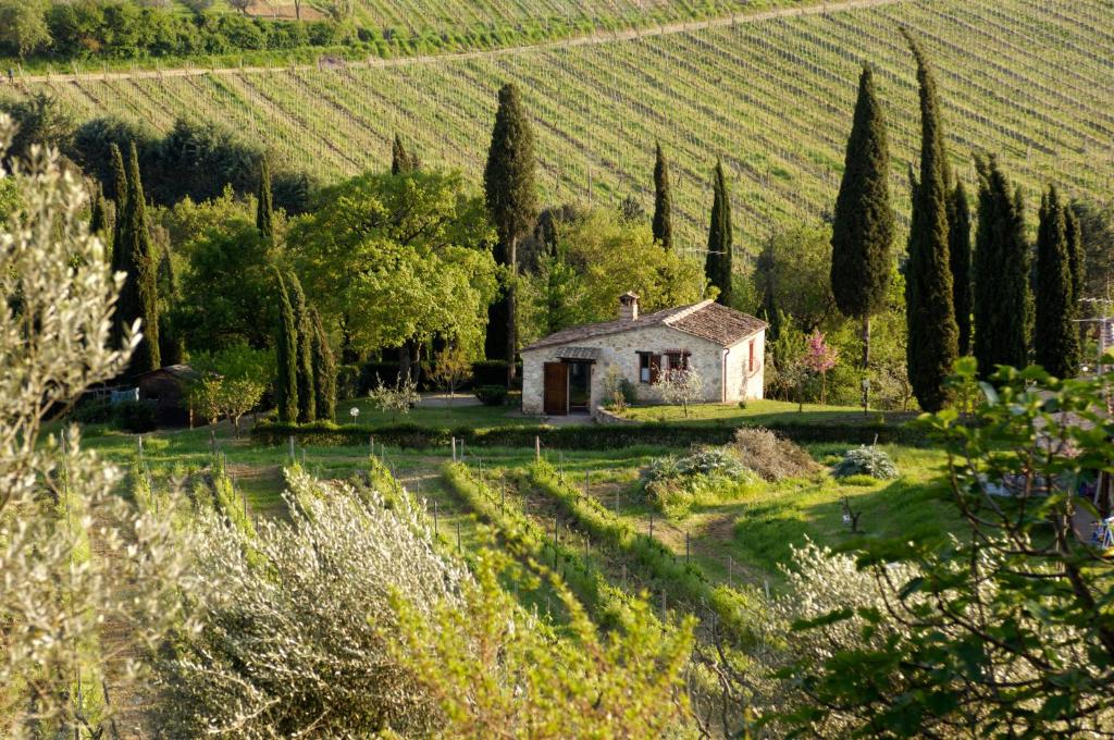 a house in a field with trees and a vineyard at Podere Montese Country House in San Gimignano