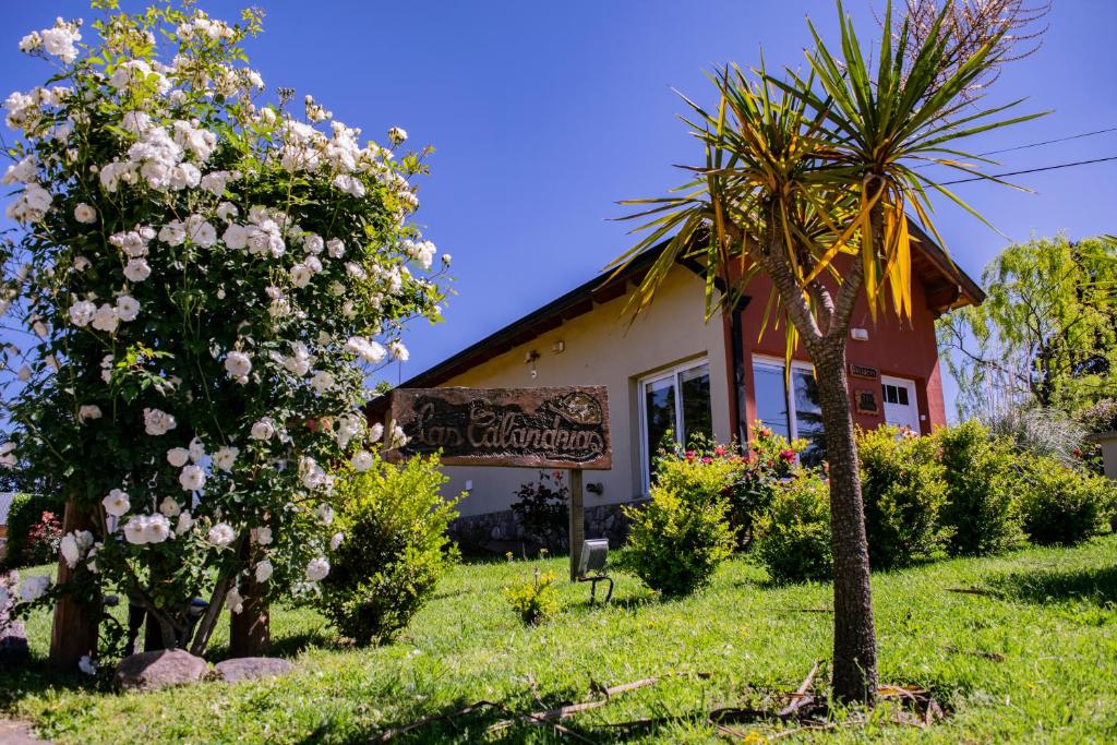 una casa con una palmera y flores en el patio en Complejo Las Calandrias en Sierra de la Ventana