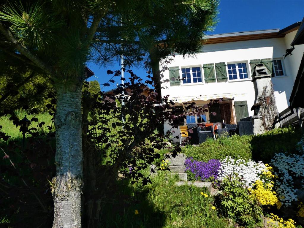 Zahrada ubytování Casa Fluretta
