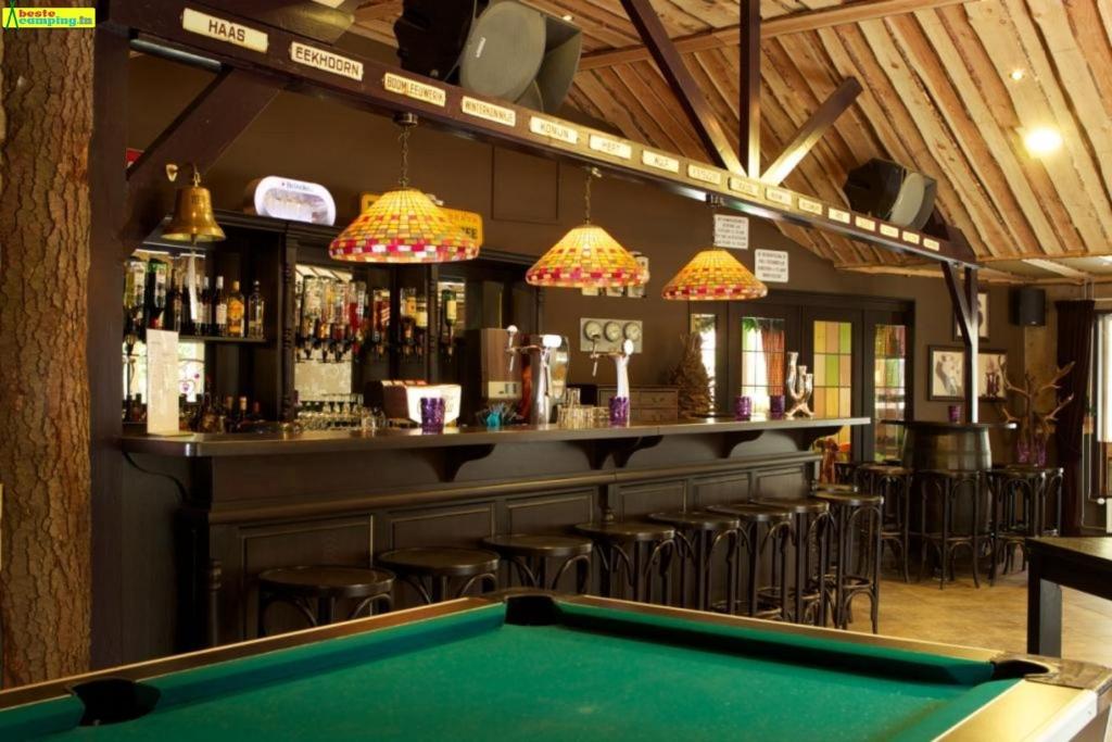 Biliár nebo kulečník v ubytování Chalet Descansar op de Veluwe