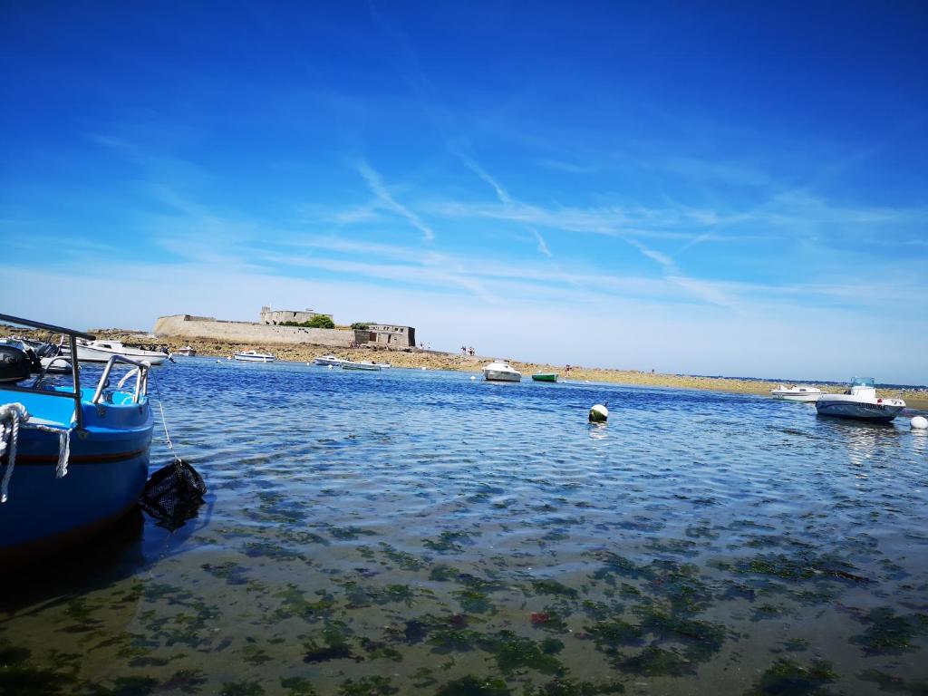 un groupe de bateaux assis à l'eau dans l'établissement L'horizon - Bord de mer, à Ploemeur