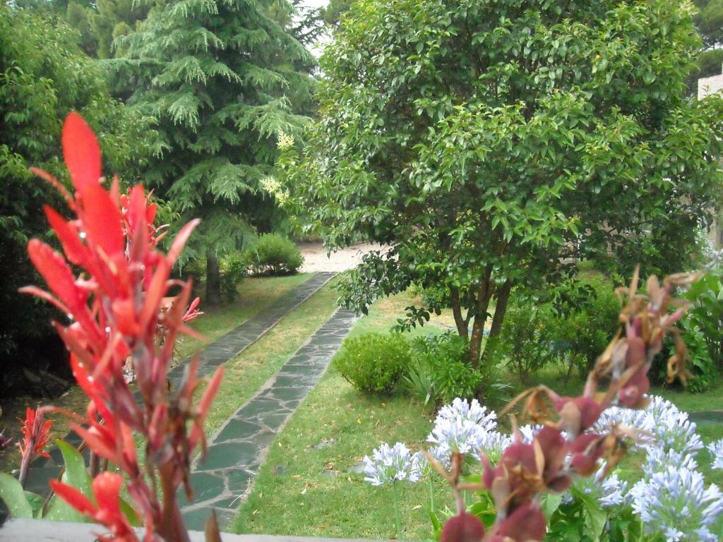 Cabañas Caramelo - Bungalow Met Patio