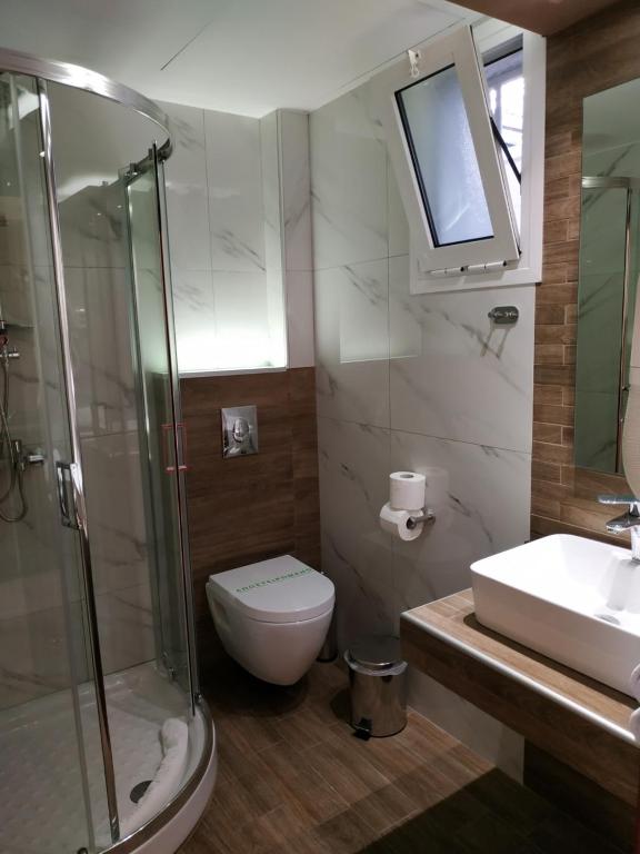 a bathroom with a shower and a toilet and a sink at Amalia in Paleo Tsifliki