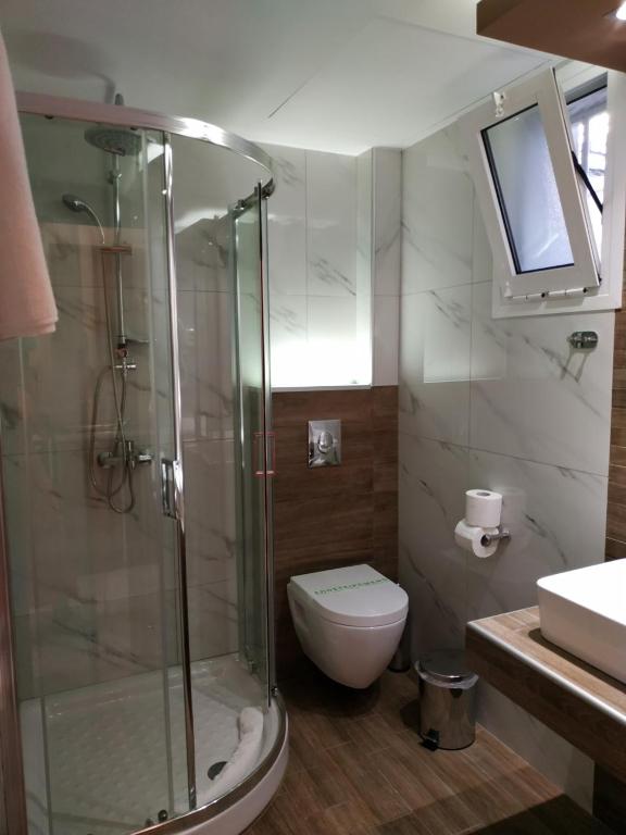 a bathroom with a shower and a toilet and a sink at Amalia in Paleo Tsifliki
