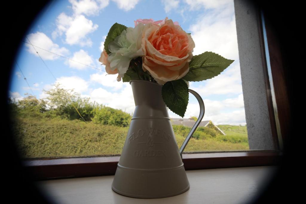 Imagen de la galería de Alices Loft & Cottages, en Castleblayney