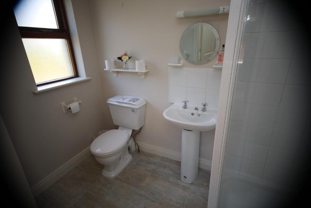 Un baño con inodoro, lavabo y espejo. en Alices Loft & Cottages, en Castleblayney