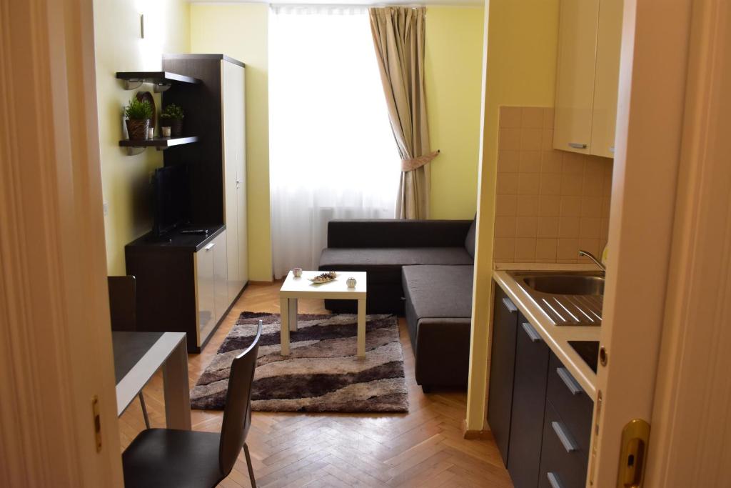 TV a/nebo společenská místnost v ubytování Apartment Vikroria - Hálkova 5