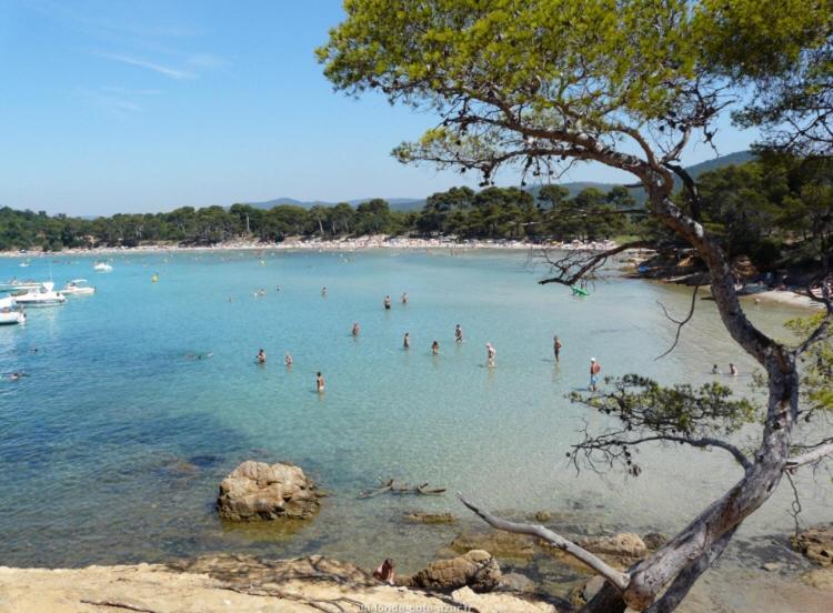 a group of people in the water at a beach at Studio rénové balcon ensoleillé et calme in La Londe-les-Maures