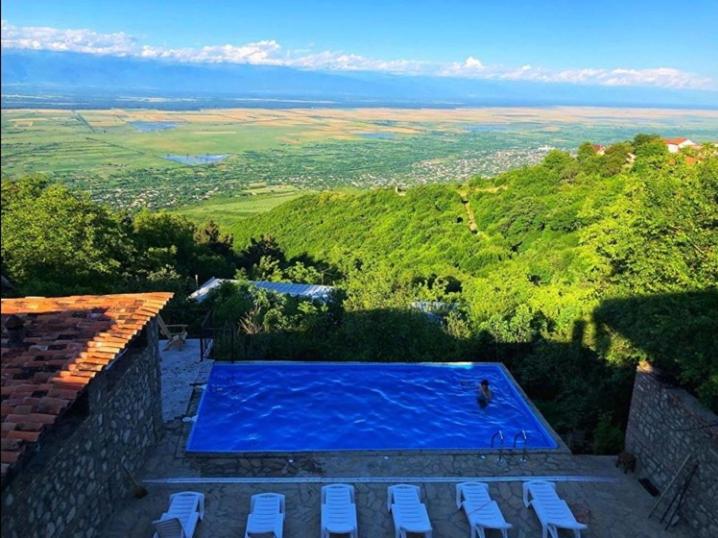 a swimming pool on top of a house with chairs at Guest House Kusika in Sighnaghi