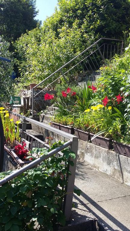 Apartments Krivokapic - 4