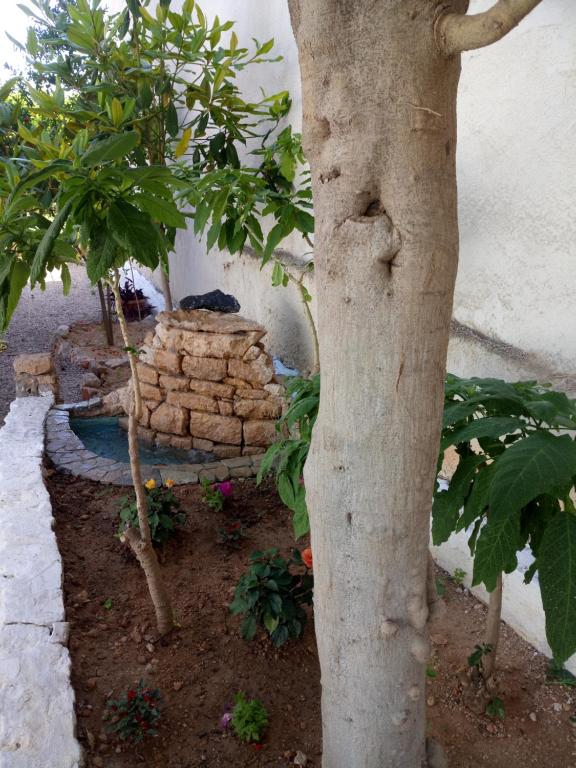 Ogród w obiekcie Hotel Poulakis