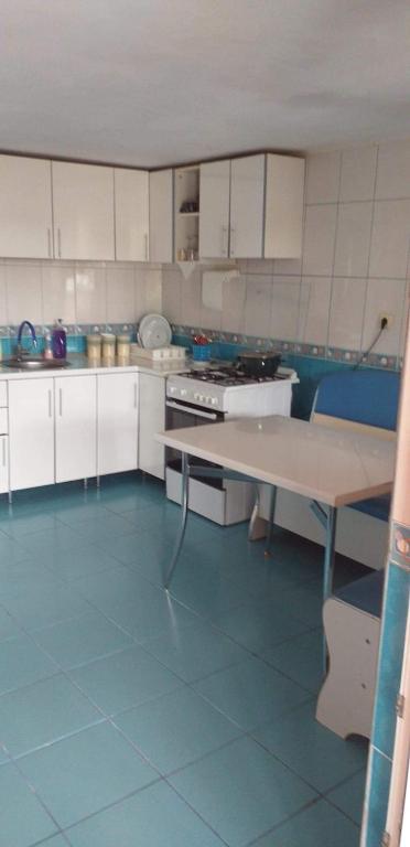 Kuchyň nebo kuchyňský kout v ubytování Casa Denisa