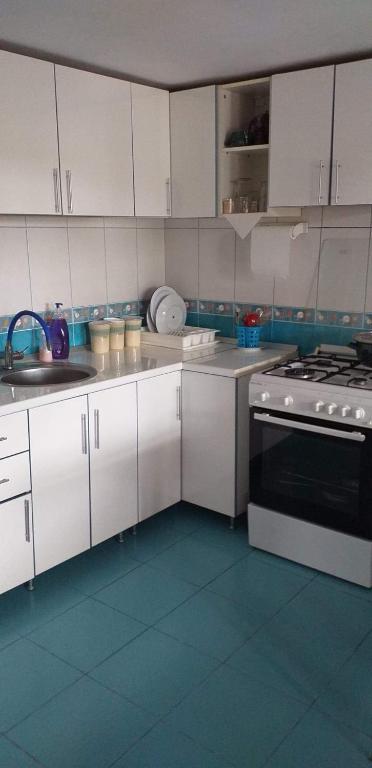 Kuchyň nebo kuchyňský kout v ubytování Casa Denisa