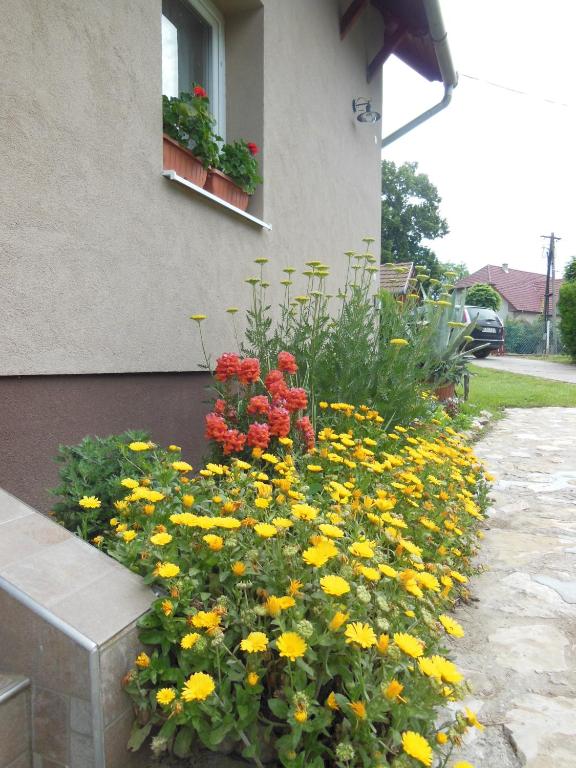 Vonkajšia záhrada v ubytovaní Virágos Apartman Balatonszemes