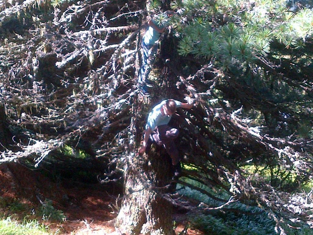 ツェル・アム・ツィラーにあるHaus Kröll Elisabethの木登りをしている男