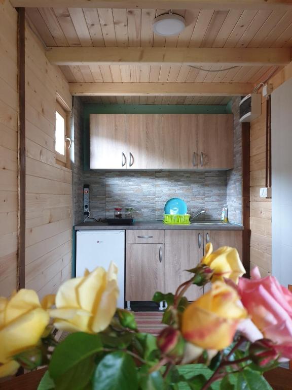 Eldhús eða eldhúskrókur á Etno Apartment Vrdnik