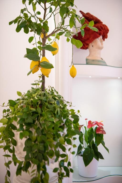 Fotografie z fotogalerie ubytování Hotel Royal Prisco v destinaci Positano