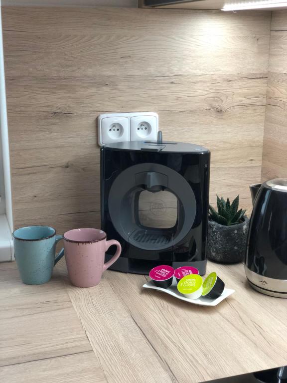 Kuchyň nebo kuchyňský kout v ubytování Apartmány Koněvova
