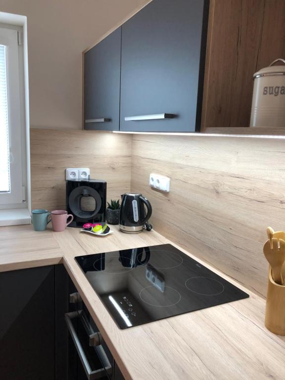 Kuchyň nebo kuchyňský kout v ubytování Apartmány Koněvova