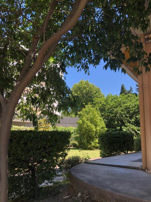 a walkway in a yard with a tree and bushes at Appartement Mimosa, tram 2, parking in Montpellier