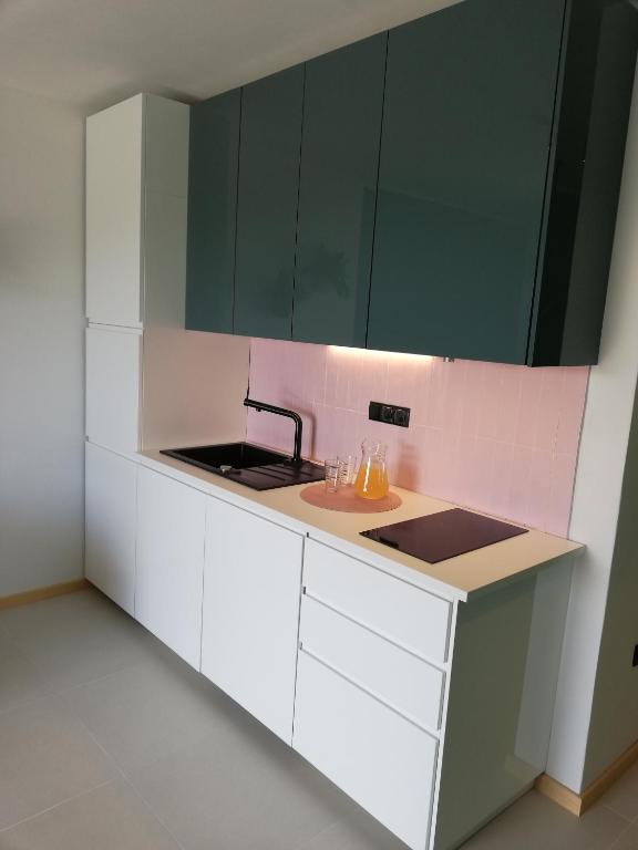 Kuchnia lub aneks kuchenny w obiekcie Apartments Pržina