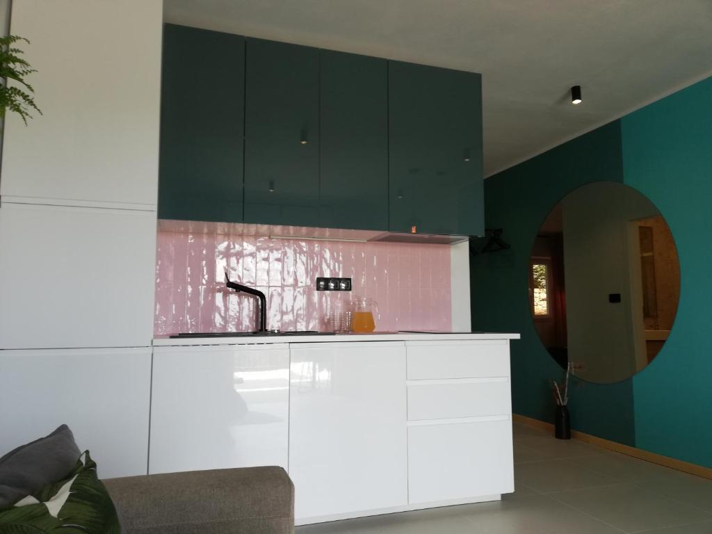 Kuchnia lub aneks kuchenny w obiekcie Apartments Pržina