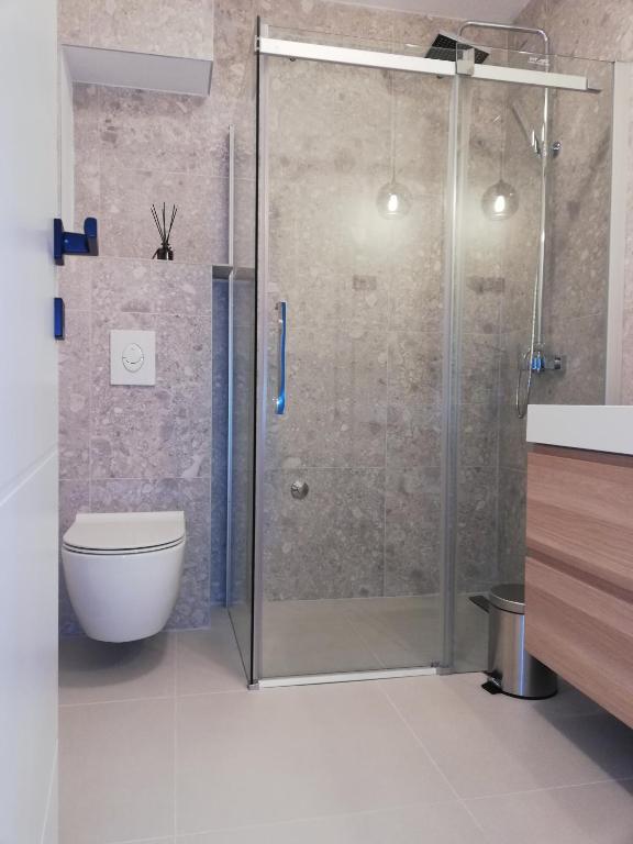 W łazience znajduje się prysznic ze szklanymi drzwiami. w obiekcie Apartments Pržina w mieście Lumbarda