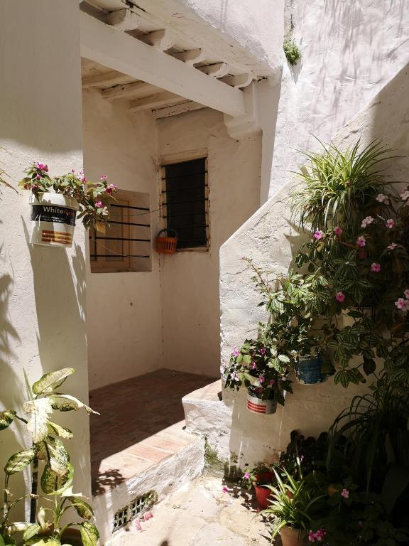 Apartamento Moreno de Mora - Appartement Met 1 Slaapkamer