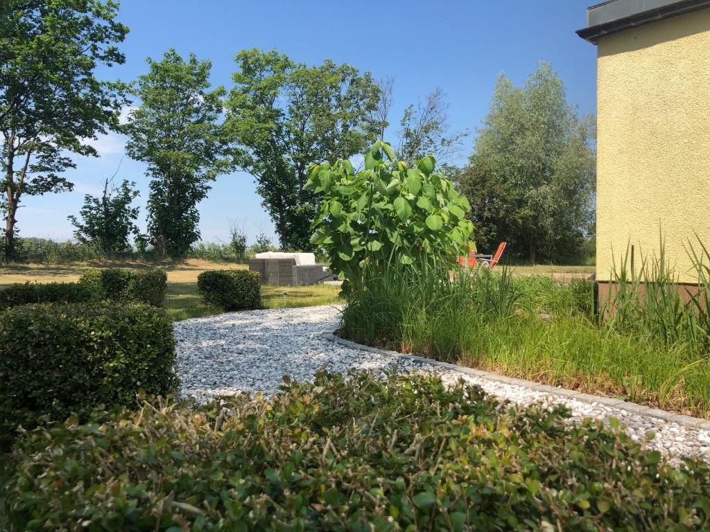 Premium Ferienwohnung Ulf-Dieter Kunstmann - Appartement