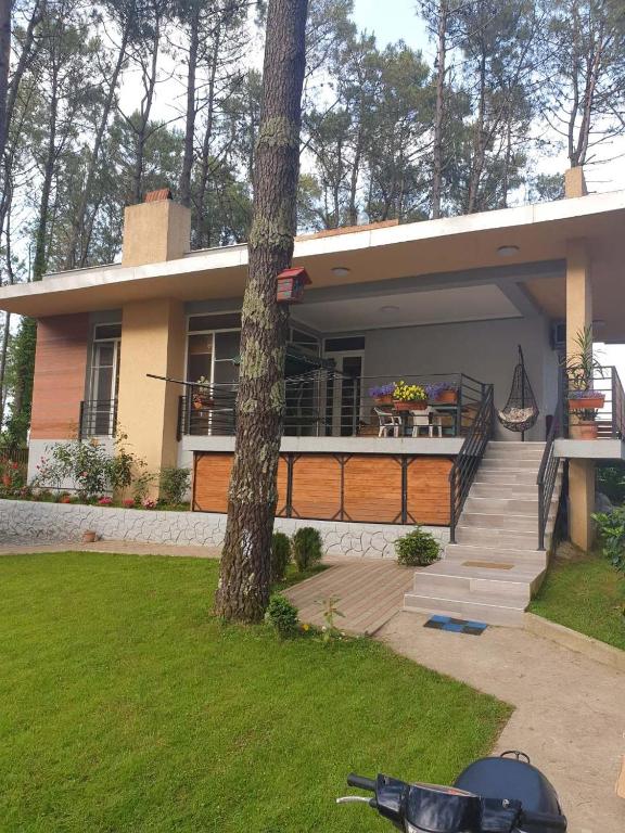 a house with a tree in front of it at Shekvetili Big Wonder in Shekhvetili