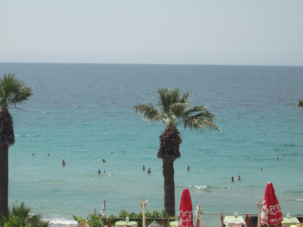 een strand met mensen die zwemmen in de oceaan met palmbomen bij Villa Beach in Kuşadası